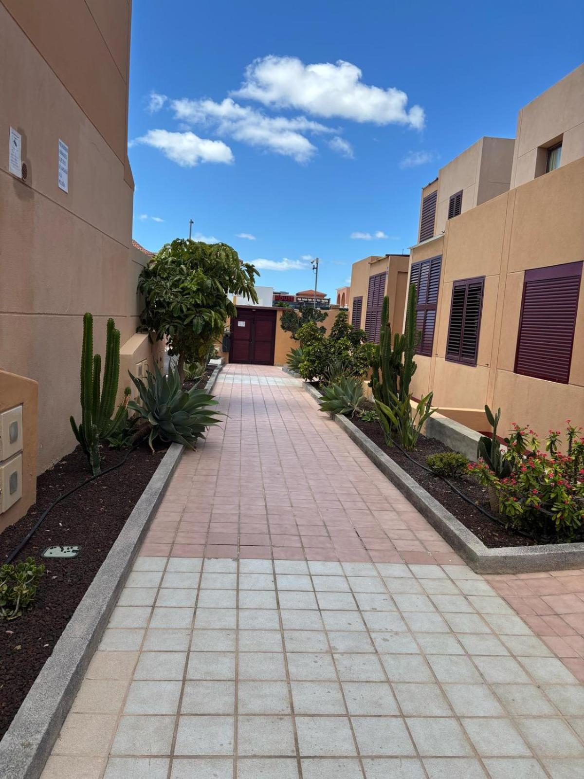 Elisabeth Apartmant Caleta De Fuste Exteriér fotografie